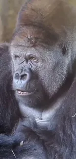 Close-up of a gorilla in a natural setting, showcasing its powerful presence.