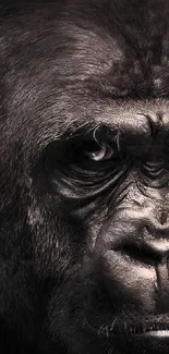 Close-up portrait of majestic gorilla mobile wallpaper.