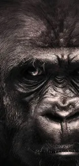 Close-up of a majestic gorilla portrait in dark tones.