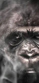 Majestic close-up portrait of a gorilla with dark, dramatic lighting.