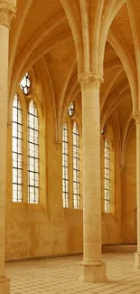 Majestic Gothic architecture with arched ceilings and stained glass windows.