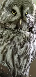 Majestic Great Gray Owl with vivid yellow eyes on a nature-themed wallpaper.