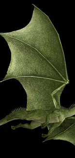 Majestic green dragon with wings on black background mobile wallpaper.