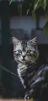 Majestic grey cat in natural setting with green leaves.