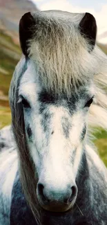 A majestic grey horse with flowing mane set against a serene natural backdrop.