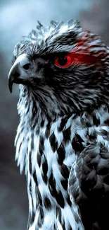 Majestic hawk with striking red eye against a dark, moody background.