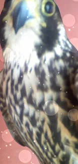 Close-up of a majestic hawk with spotlight effects on its feathers.