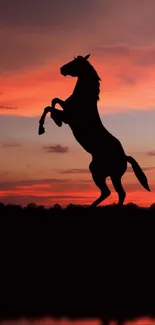 Silhouette of a horse rearing at sunset with vibrant orange sky.