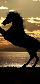 Silhouette of a rearing horse at sunset with a scenic background.