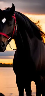 Majestic black horse by the shore at sunset with vibrant orange sky.