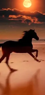 Silhouette of a horse running on a beach against a sunset backdrop.