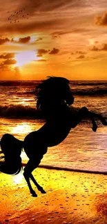 Silhouette of a horse on a beach with a vibrant orange sunset over the ocean.