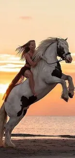 A horse rearing on a beach during a vibrant sunset with a rider on its back.