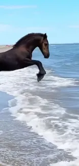 Horse jumping by the ocean beach with waves crashing.