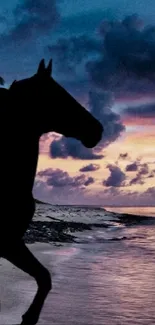 Silhouette of a horse against a purple beach sunset.