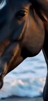Majestic horse gazing at ocean waves.