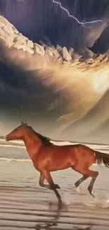 Horse running on beach under stormy sky.