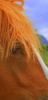 Close-up of a brown horse with orange mane against a blue sky background.