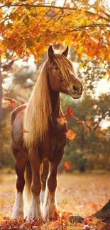 Majestic horse among autumn leaves in a serene forest setting.