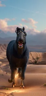 Black horse running in desert during sunset.