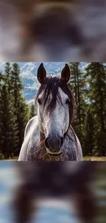 Majestic horse standing amidst a forest landscape, perfect for mobile wallpaper.