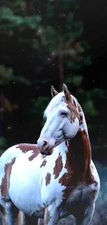 Majestic horse standing in serene forest setting.