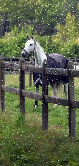 Majestic horse in a lush green pasture with a beautiful wooden fence.