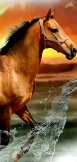 Majestic horse galloping through water at sunset.