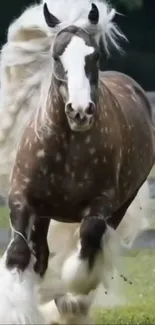 A majestic horse galloping across a field with flowing mane.