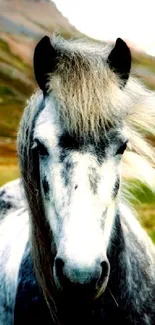 Majestic horse in mountain field background, perfect for mobile wallpaper.