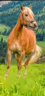 A majestic horse in lush green fields with hills in the background.