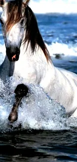 White horse splashing through ocean waves, creating a dynamic and captivating scene.