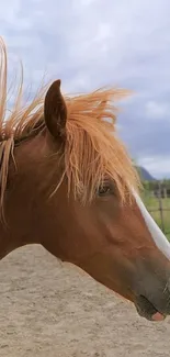 Brown horse with flowing mane in a peaceful outdoor setting.