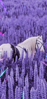 Majestic white horse amidst a purple flower field.