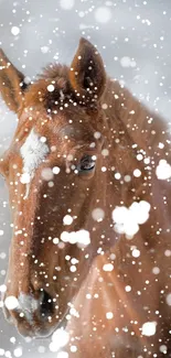 Majestic horse in snowy winter landscape wallpaper.