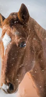 Majestic brown horse standing in gentle snowfall, creating a serene winter scene.