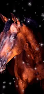 Majestic brown horse against starlit black background.