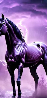 Majestic horse standing in a storm with purple lightning.