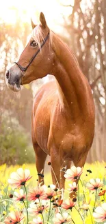 Brown horse in a sunlit flower field with a forest background.