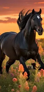 A majestic black horse galloping through a vibrant field under a stunning sunset.