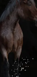 Majestic brown horse against a dark background with small white dots.