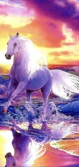 Majestic white horse galloping in ocean sunset.