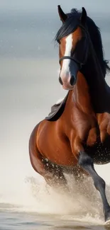 Majestic horse galloping on the beach with splashing waves.