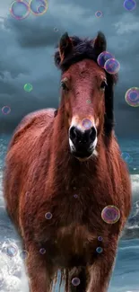 Brown horse on a beach with artistic bubbles and waves.