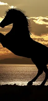 Silhouette of a rearing horse at sunset over a calm water backdrop.