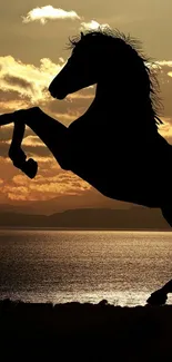 Silhouette of a horse rearing against a sunset background over water.