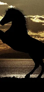 Silhouette of a majestic horse against a stunning orange sunset.