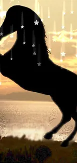 Silhouette of a horse with stars and a golden sky.