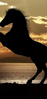 Silhouette of a rearing horse against a golden sunset background.