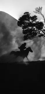 Monochrome horse silhouette against misty backdrop.